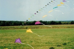 Scannen-33-1