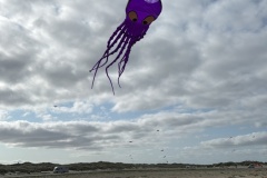 048CA5C6-863C-4DA0-8B40-3A2E3520A151