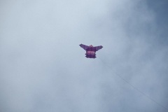 IMG_0912