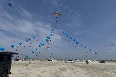 IMG_0944