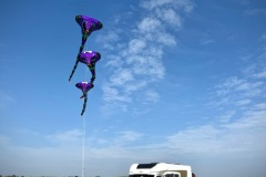 IMG_0957