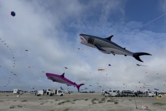 IMG_0995