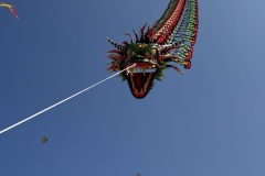 IMG_1155