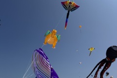 IMG_1160