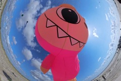 Snapshot_202506170_220667