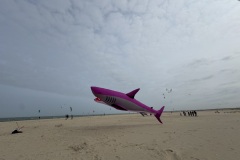 IMG_0618