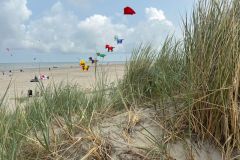 44044844-e60d-4d72-946a-41543e0871ff